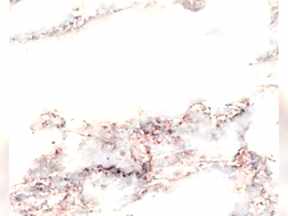 Afyon Suprem Mermeri | Mermer Tezgah Fiyatlari Ankara