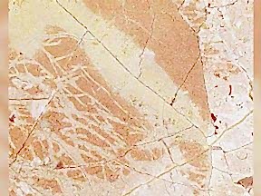 Bilecik Kirmizili Bej Mermer | Mermer Tezgah Fiyatlari Ankara