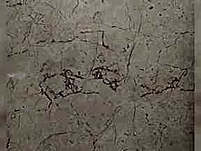 Rosaliabej | Granit Mermer Cesitleri Ankara