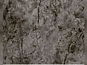 Sivrihisar Bej Mermer | Granit Mermer Cesitleri Ankara