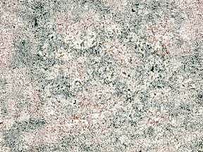 Balaflowerindia | Granit Mermer Ankara