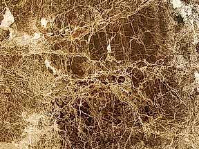 Emperadordark | Granit Tezgah Ankara