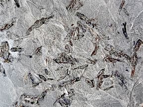 Matrix | Granit Mermer Fiyatlari Ankara