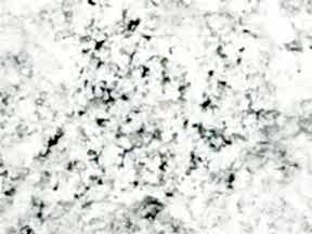 Oriantelwhiteindia | Granit Tezgah Fiyatlari Ankara