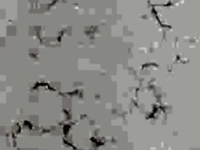 925-NEBULAwe | Granit Mutfak Tezgahı Ankara