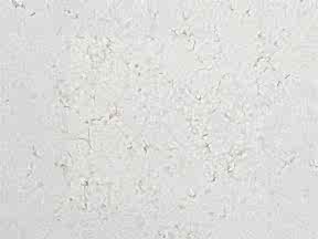 4qlzli30 2f236 | Mutfak Tezgah Modelleri Ankara