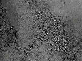 6523 Starlight 75acf | Mutfak Tezgahı Çeşitleri Ankara