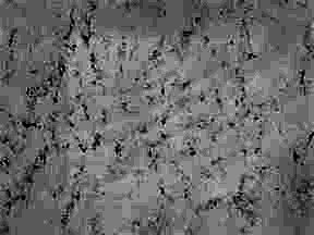 7227 Armilla Aea0b | Mutfak Tezgahı Çeşitleri Ankara