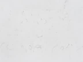 Amalfi 02 Ec269 | Granit Mutfak Tezgahı Ankara