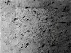 Icebergtas C9fa4 | Ankara Mermer Granit