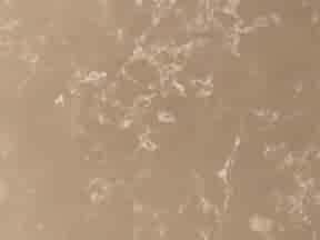 Moccamoussetas 30f78 | Granit Tezgah Modelleri Ankara