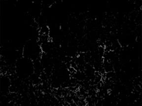 Spablacktas 256d7 | Mermer Granit Ankara