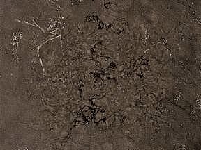 Terregrey02 68a42 | Ankara Granit Mermer