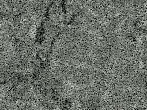 Et Statuario | Granit Tezgah Ankara