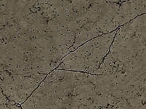 Pearl Jasmine | Granit Tezgah Modelleri Ankara