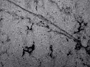 White Storm14 | Ankara Granit Mermer