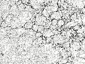 Calacatta-Sueste-705x705 | Mutfak Tezgah Modelleri Ankara