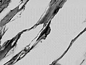 Invisible White | Lamar Porselen Tezgah Ankara