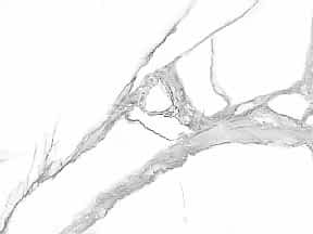 Calacatta Macchia Vecchia Bookmatch A | Lamar Porselen Tezgah Ankara